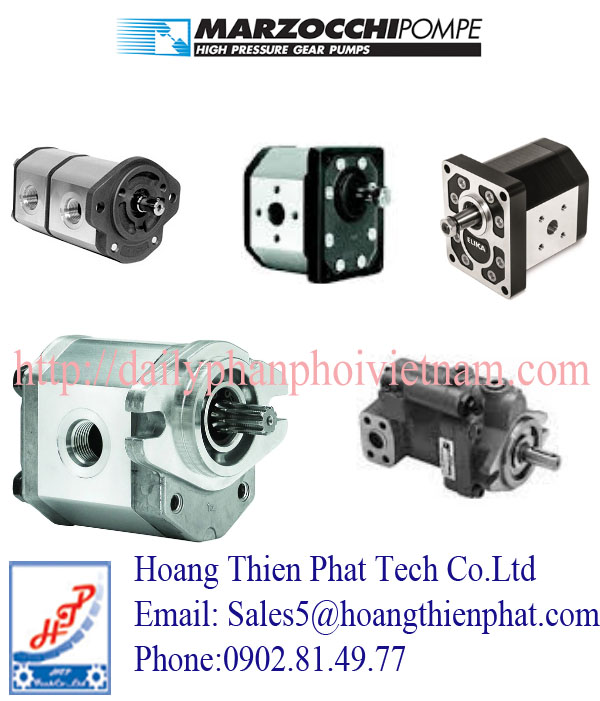 MARZOCCHI1 MARZOCCHI1